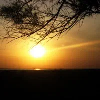 فروش فوری زمین 400 متری در عرش زیر قیمت