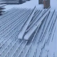 فوم سقفی|خدمات پیشه و مهارت|شازند, |دیوار