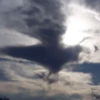 کارگر ساده متاهل واسه کار گاوداری