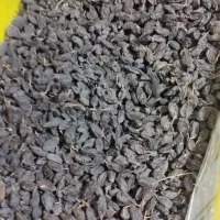 کشمش فخری|خوردنی و آشامیدنی|عجب شیر, |دیوار