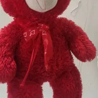 خرس قرمز