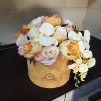 باکس گل نونو۷۰۰