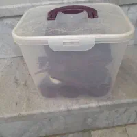 ظرف مسافرتی