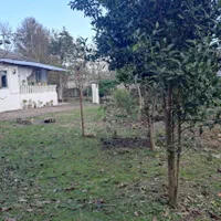 اجاره روزانه/هفتگی/ماهانه ویلا و سوئیت ۲۲۰ متری|اجارهٔ کوتاه‌مدت آپارتمان و سوئیت|رضوانشهر, |دیوار