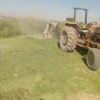 خوراک دام یونجه علف بیده خاش|حیوانات مزرعه|خمک, |دیوار