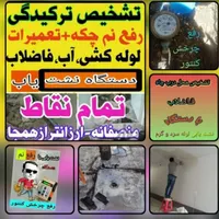 خُشک کَردن لکه و شوره کپَک سایه نمزدگی رفع نم سازی|خدمات پیشه و مهارت|بجنورد, |دیوار