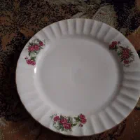 ظروف گل سرخ|ظروف سرو و پذیرایی|کبودرآهنگ, |دیوار