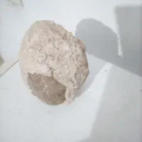 سنگ  فسیل|جواهرات|پرند, فاز ۴|دیوار