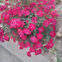 ۱۲۳متر سبلان شمالی