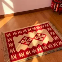 آموزش انواع گلیم و فرش دستبافت|خدمات آموزشی|برازجان, |دیوار