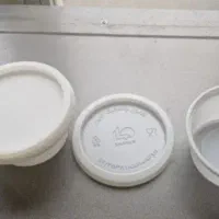 ظرف یکبار مصرف