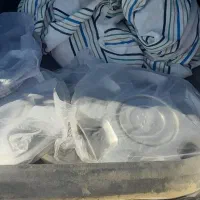 فروش فوری پژو ۴۰۵|خودرو سواری و وانت|فنوج, |دیوار