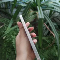 آیفون ۱۳نرمال در حد نو|موبایل|اصفهان, امیرعرب|دیوار