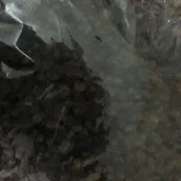 کشمش بناب|خوردنی و آشامیدنی|تبریز, |دیوار