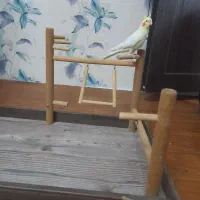 وسیله بازی عروس هلندی