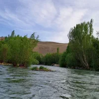 زمین کشاورزی