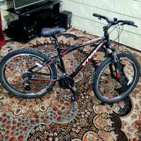 دوچرخه ویوا تایوان اصل اک|دوچرخه، اسکیت، اسکوتر|کارون, |دیوار