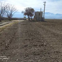 اجاره زمین کشاورزی بارانی ،همراه چاه عمیق برقی|اجارهٔ دفتر صنعتی، کشاورزی، تجاری|خزل, |دیوار