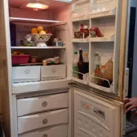 لوازم خانگی|یخچال و فریزر|لشت نشا, |دیوار