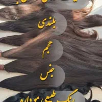 مو خریداریم میلیونی