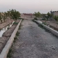 باغ
