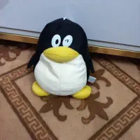 انوع عروسک سالم|اسباب‌بازی بچه|کازرون, |دیوار