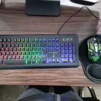 موس و صفحه کلید