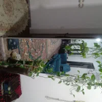 اینه قدی باقیمت مناسب
