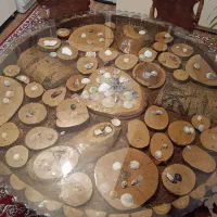 میز و صندلی نهار خوری|میز و صندلی غذاخوری|کرمانشاه, |دیوار