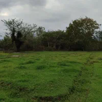 340 متر زمین شهری 220 متر حریم در اختیار رودخونه|فروش زمین و ملک کلنگی|گوراب زرمیخ, |دیوار