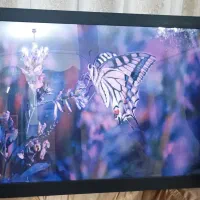 تابلو|تابلو، نقاشی، عکس|کرمانشاه, |دیوار