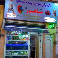 اکواریوم فروشی و پت شاپ ماهور در شهر ری
