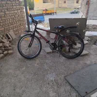 یک عدد دوچرخه ویوا
