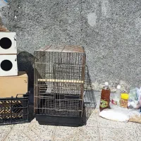 قفس پرنده. لانه