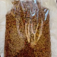 مونلو میکس گربه