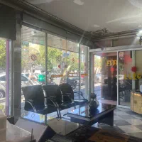 سالنکار خانم یا اقا و آشپز ایرانی