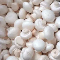 قارچ دکمه ای درجه یک