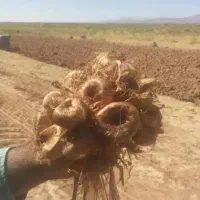 خریدوفروش