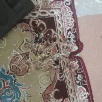 فرش و کناره فرش فقط ۵۵۰|فرش|مشهد, رده|دیوار