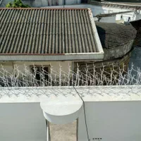 حفاظ شاخ گوزنی|مصالح و تجهیزات ساختمان|تالش, هشتپر|دیوار