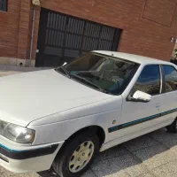 پارس خونگی تمیز