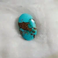 فیروزه نیشابوری