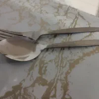 قاشق چنگال نو سالم