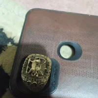 انگشتر طرح شیر با نگینه کاری شده دورتادور