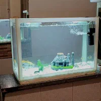 آکواریوم شرکتی تجهیزات ماهی|ماهی|مرودشت, فیروزی|دیوار