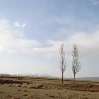 فروش مقدارحدود۸هکتار زمین کشاورزی با چاه تلمبه