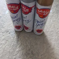 قالب شمع|مجسمه، تندیس، ماکت|گنبد کاووس, |دیوار