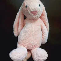 عروسک خرگوش و خرس|اسباب‌بازی بچه|بندر انزلی, نامجو|دیوار