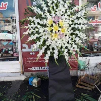 گلسرا|گل مصنوعی|زنجان, |دیوار