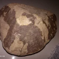 راهنمایی درمورد سنگ|فعالیت داوطلبانه|مشهد, الهیه|دیوار